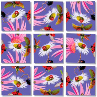 Ladybugs Puzzle