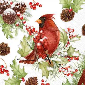 Cardinals in Holly Beverage Napkins
