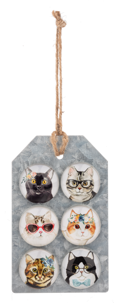6PC CAT MAGNET SET