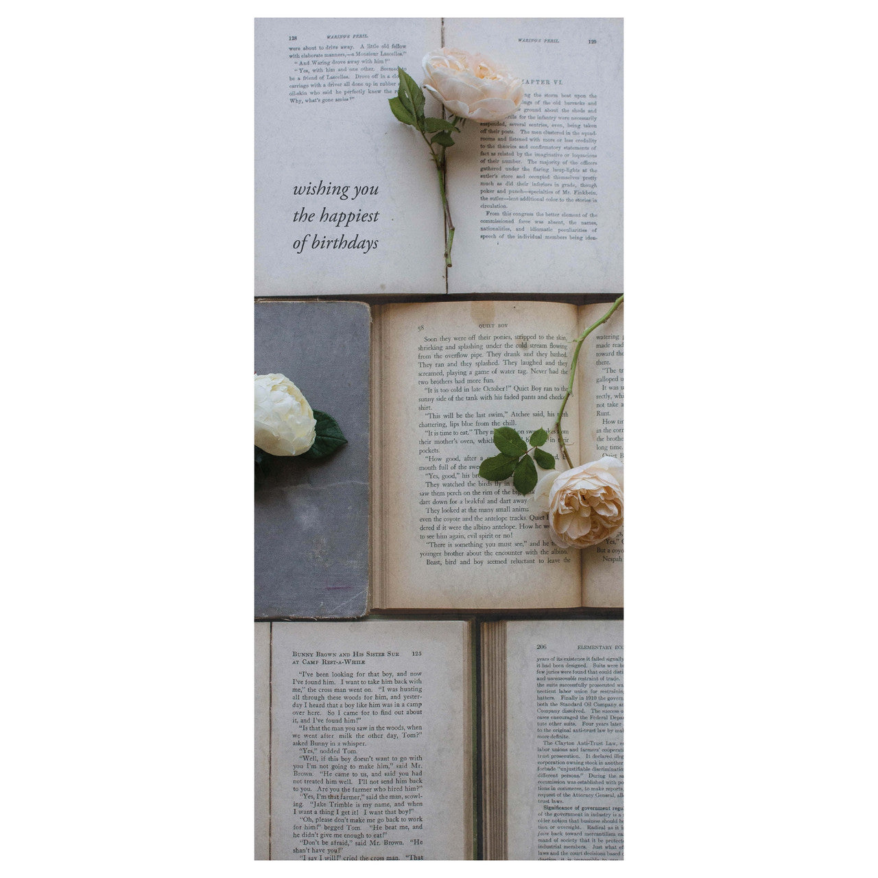 Vintage Books Birthday Card