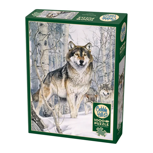Second Glance 1000PC Puzzle