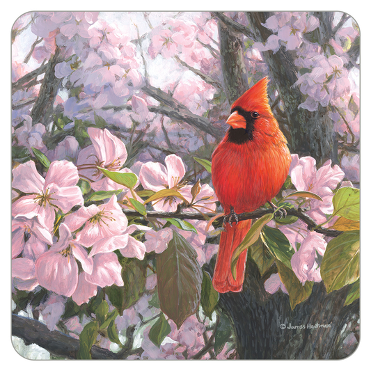 Spring Cardinal Coaster