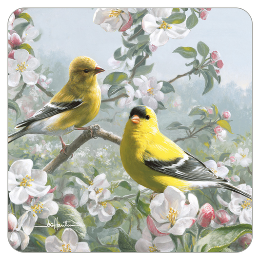 Goldfinch Couple Coaster