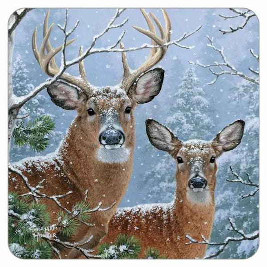 Whitetail Deer Coaster