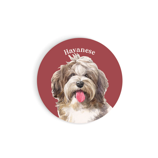 Havanese Car Coaster