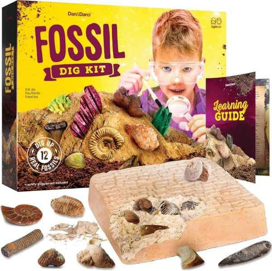 Fossil Dig Kit