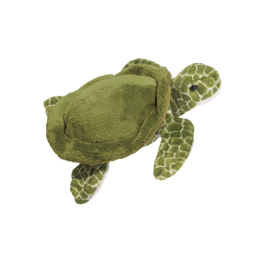 *Tillie Turtle