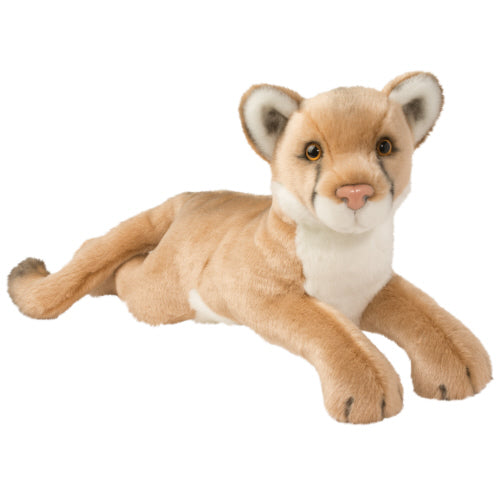 Kelso Cougar/Mt Lion