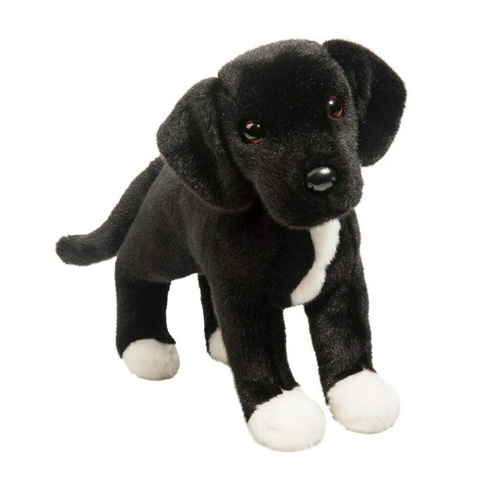 TWISTER BLACK LAB PIT MIX