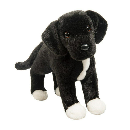 TWISTER BLACK LAB PIT MIX