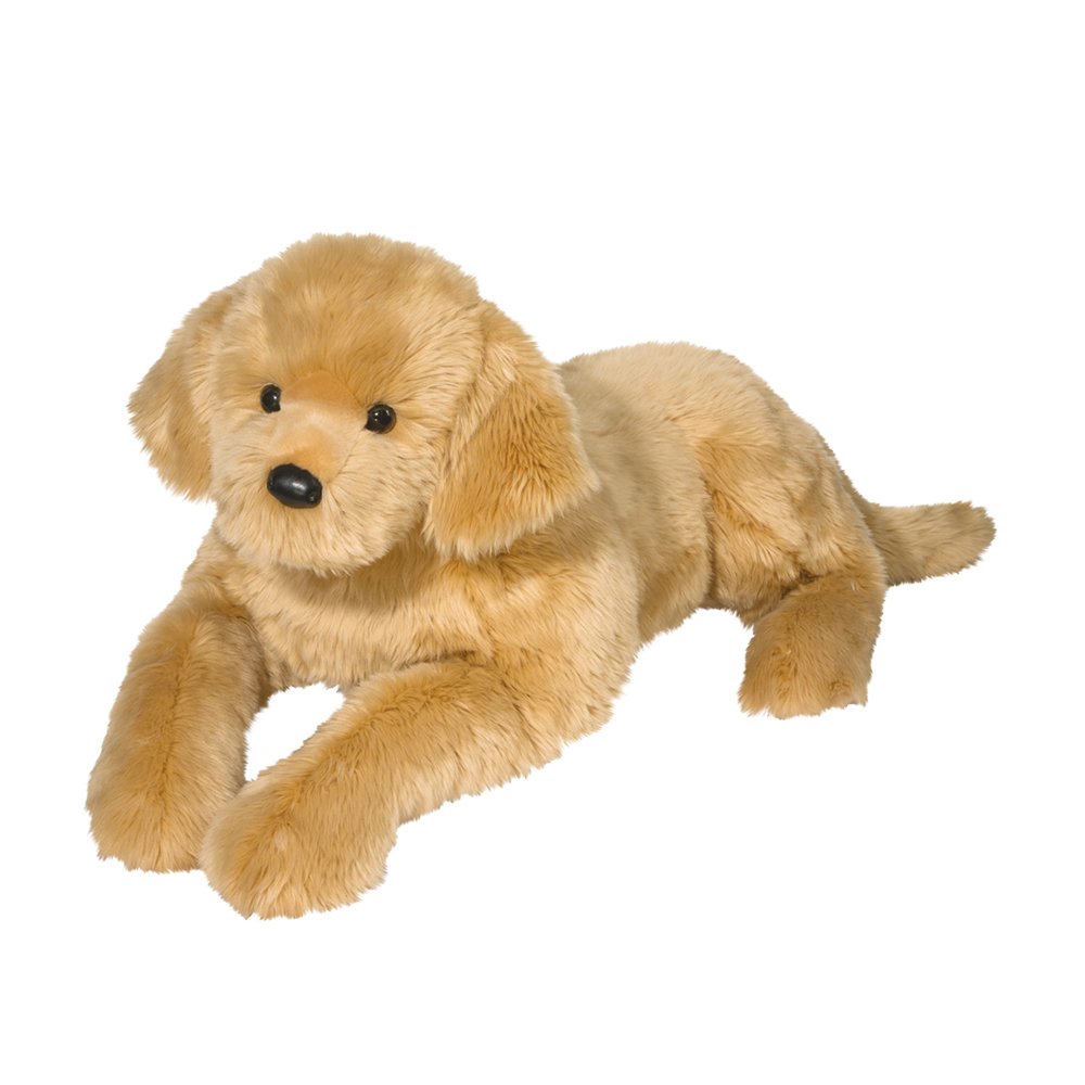 SHERMAN GOLDEN RETRIEVER