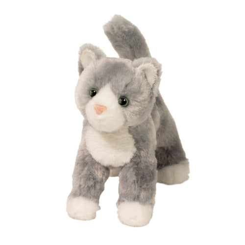 Scatter Gray Cat