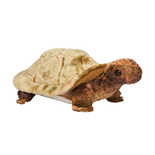 *Speedy Tortoise 11"