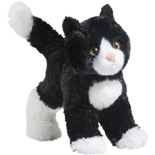 Nippy Black & White Cat