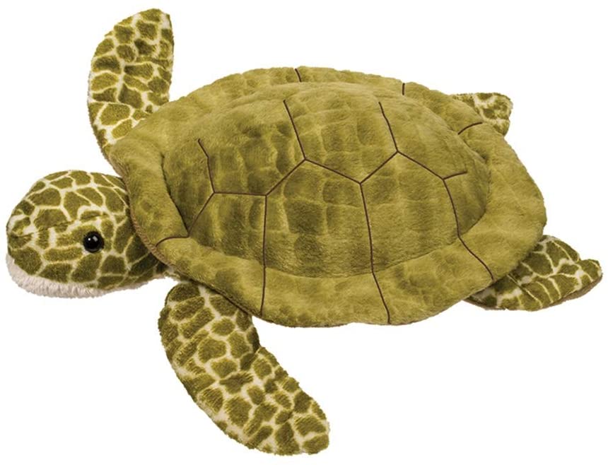 PEBBLES TURTLE