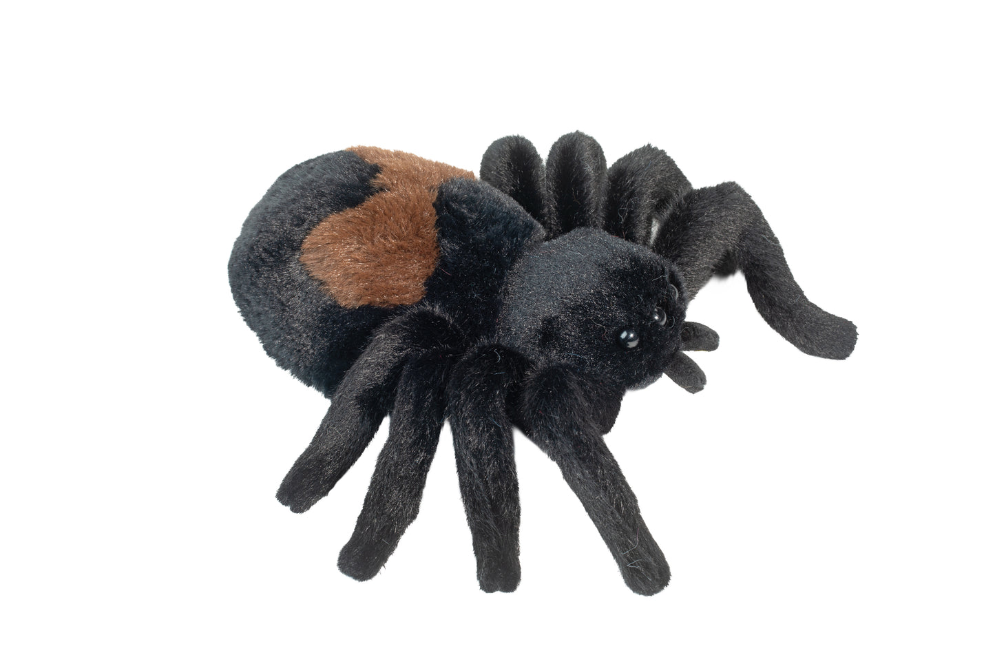 Sneakie Soft Spider