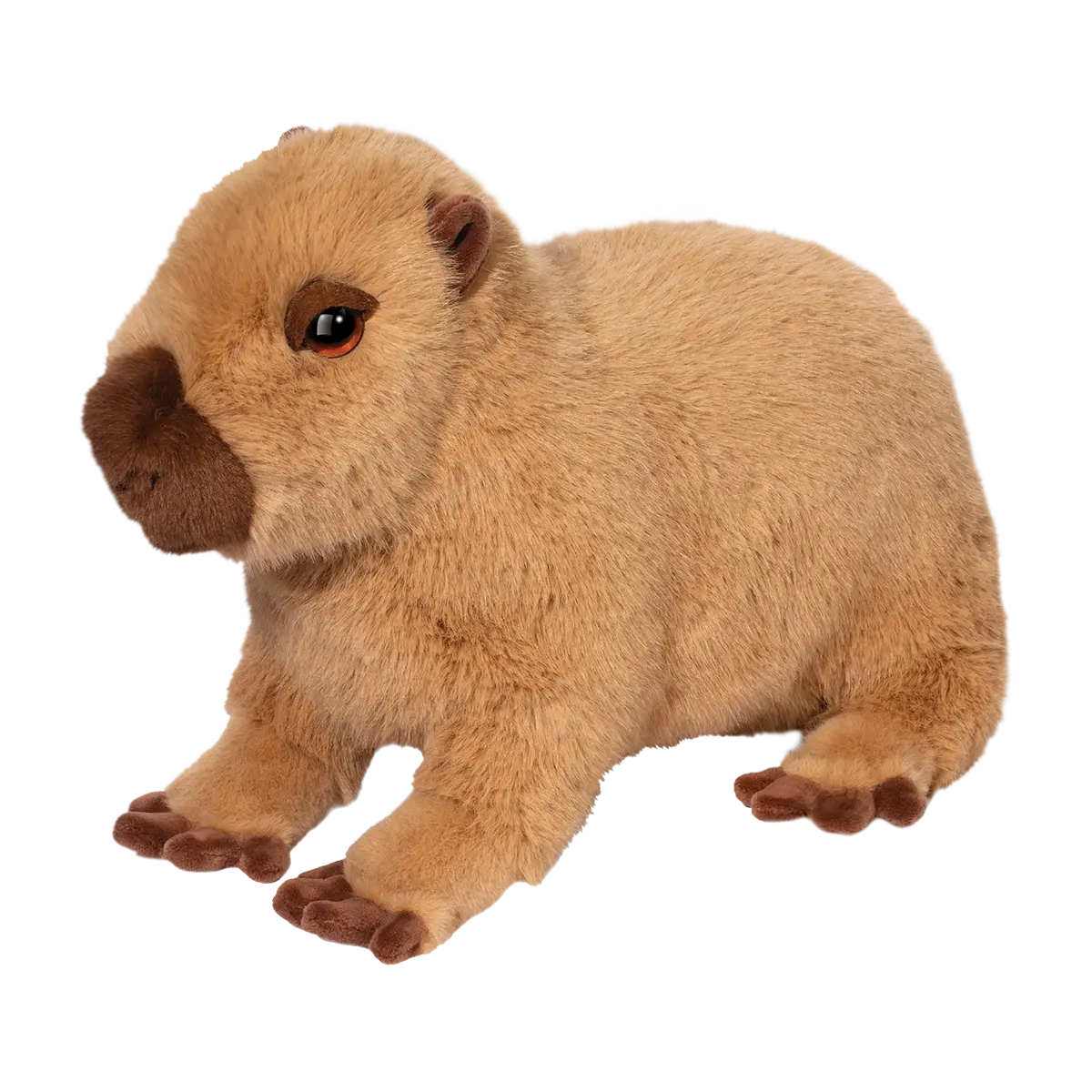 Chattie Capybara