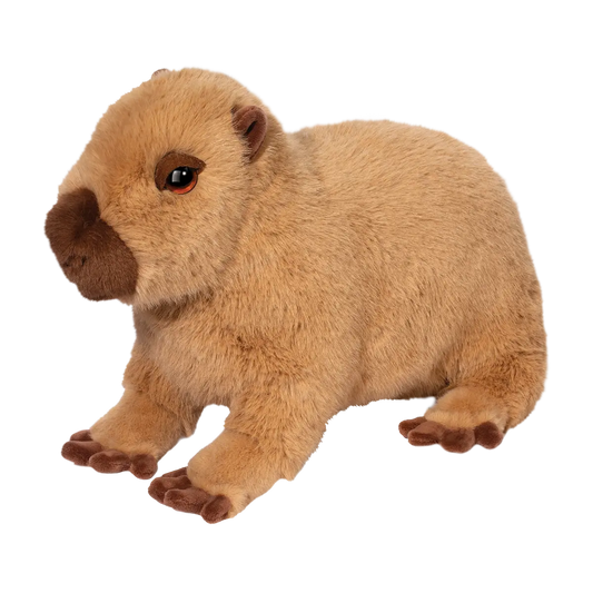 Chattie Capybara