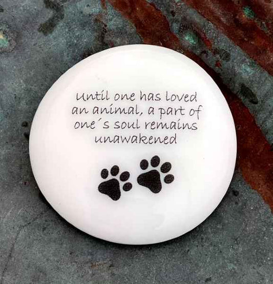 Loved an Animal Pocket Stone