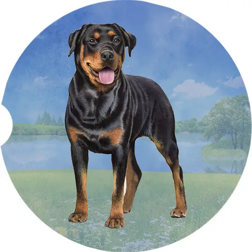 ROTTWEILER COASTER