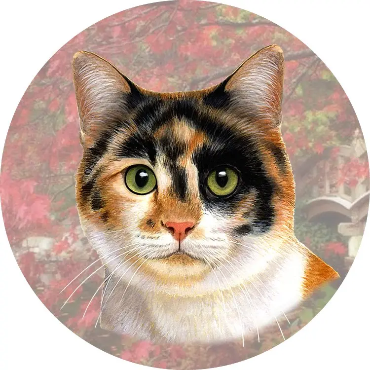 CALICO CAT CAR COASTER