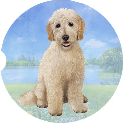 GOLDENDOODLE CAR COASTER