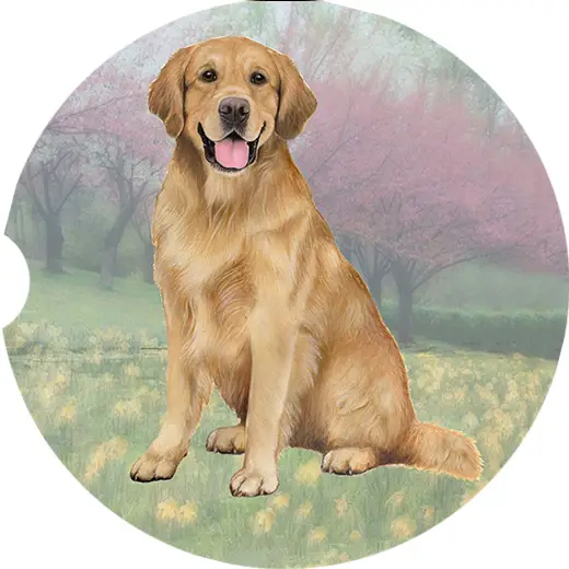GOLDEN RETRIEVER CAR COASTER