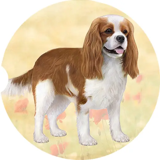 CAVALIER KING CHARLES CAR COASTER
