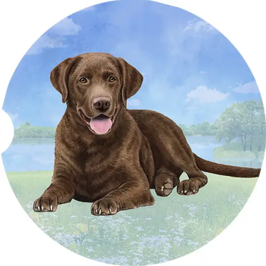 CHOCOLATE LAB CAR COASTER