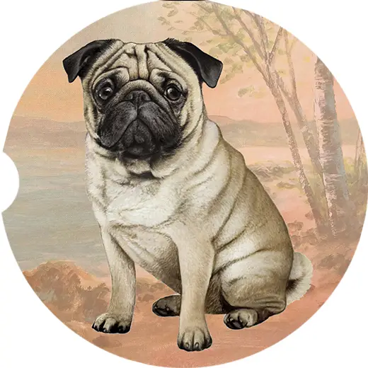 PUG SITTING CAR COASTER