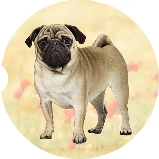 PUG STANDING CAR COASTER