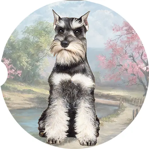 SCHNAUZER CAR COASTER