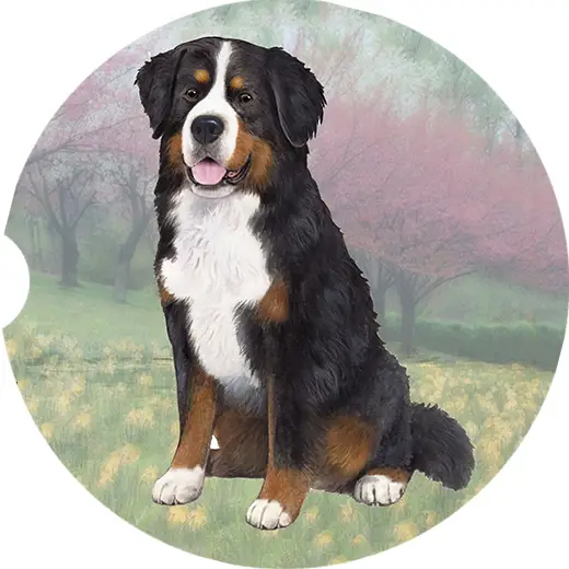 BERNESE MTN DOG CAR COASTER