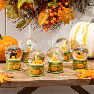 Fall Dog Waterglobe