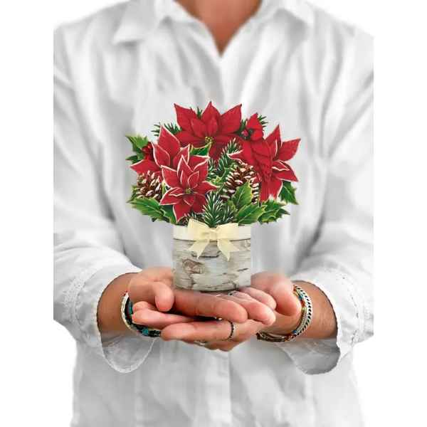 Birch Poinsettia Pop Up Card