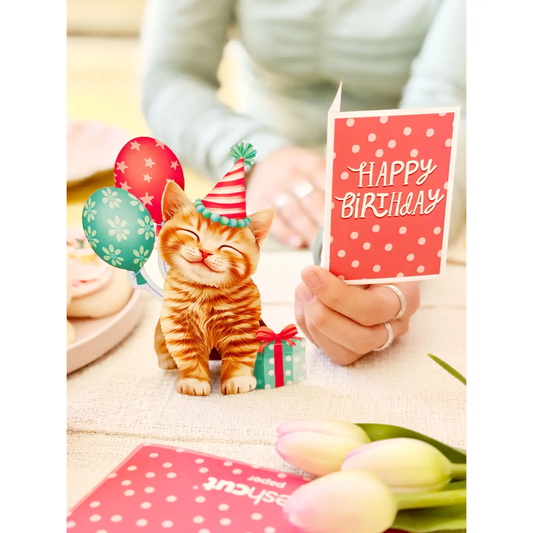 Mini Birthday Kitten Pop Up Card