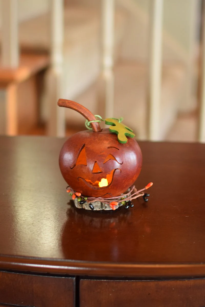 Fredrick Jack O Lantern Gourd