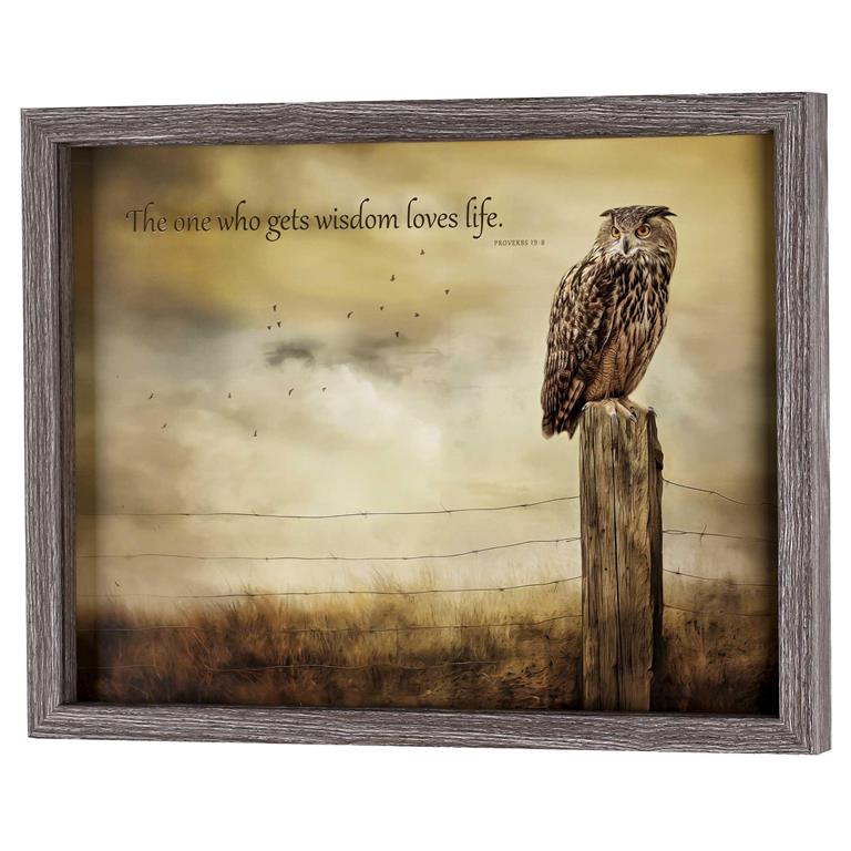 Proverbs Owl 16X20 Wall Art
