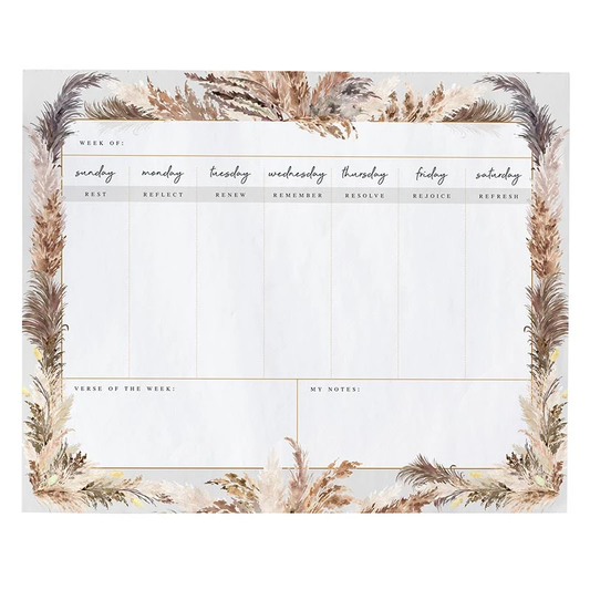 Fully Known Planner