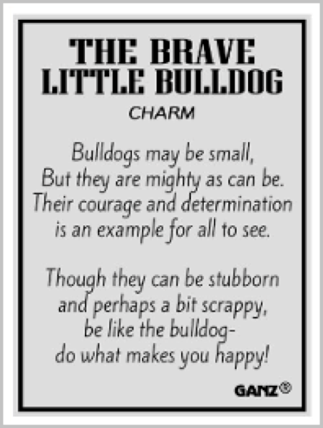 BULLDOG Pocket Token