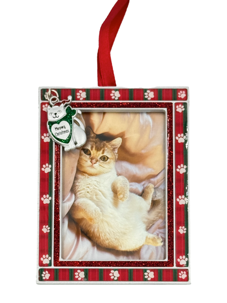 Cat Frame Ornament