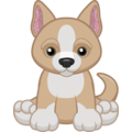 Chihuahua Webkinz