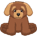 Cockapoo Webkinz