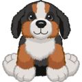 Bernese Mountain Dog Webkinz