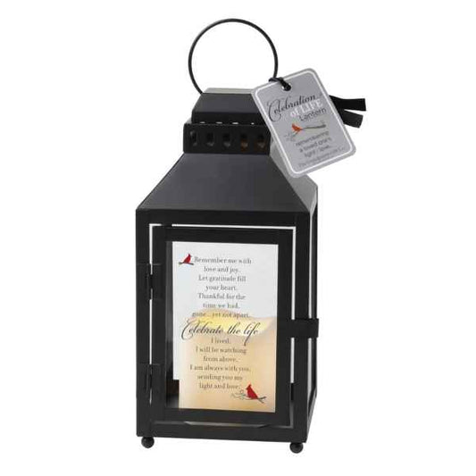 50th Anniversary Lantern