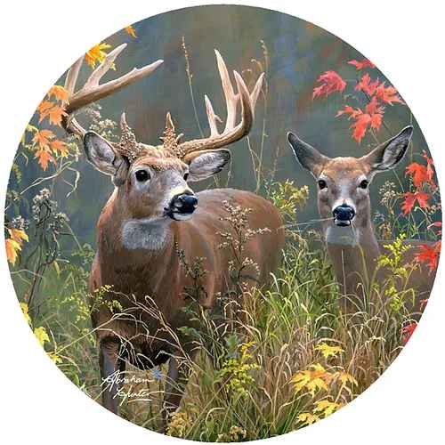 Autumn Deer Couple Jar Opener