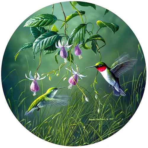 Hummingbird Pair Jar Opener