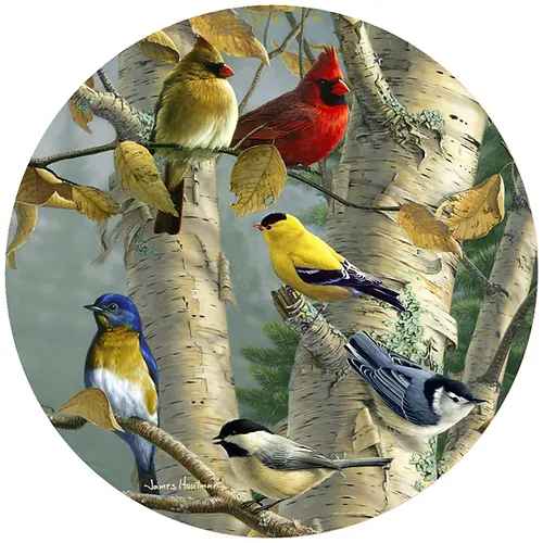 Songbird Favorites Jar Opener