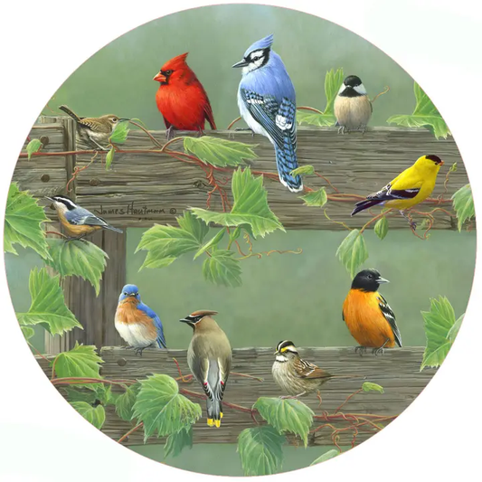 Rail Birds Jar Opener