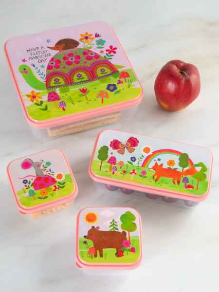 Set of 4 Turtle Storage Containers
